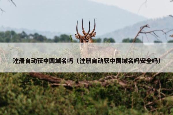 注册自动获中国域名吗（注册自动获中国域名吗安全吗）