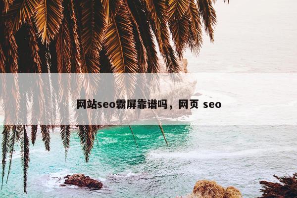 网站seo霸屏靠谱吗，网页 seo