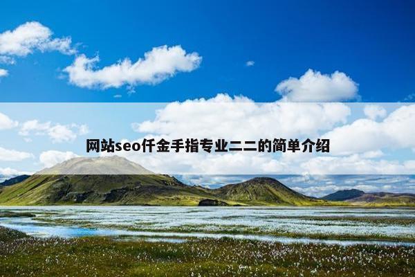网站seo仟金手指专业二二的简单介绍
