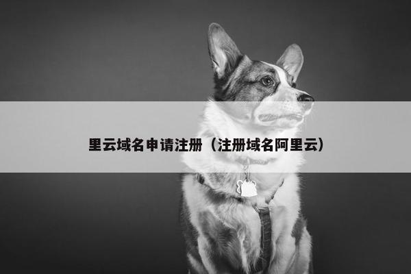 里云域名申请注册（注册域名阿里云）
