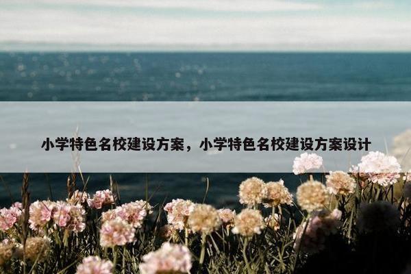 小学特色名校建设方案，小学特色名校建设方案设计