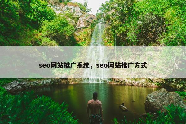 seo网站推广系统，seo网站推广方式