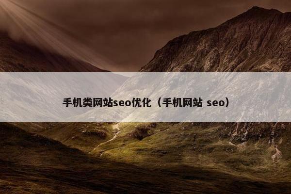 手机类网站seo优化（手机网站 seo）