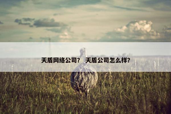天盾网络公司？ 天盾公司怎么样？