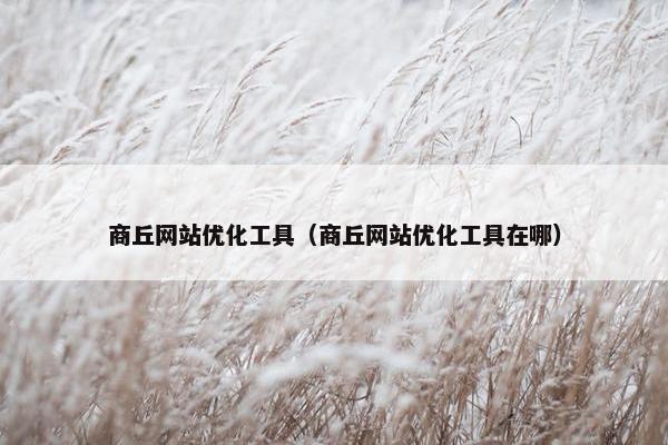商丘网站优化工具（商丘网站优化工具在哪）