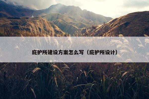 庇护所建设方案怎么写（庇护所设计）