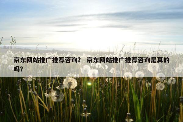 京东网站推广推荐咨询？ 京东网站推广推荐咨询是真的吗？