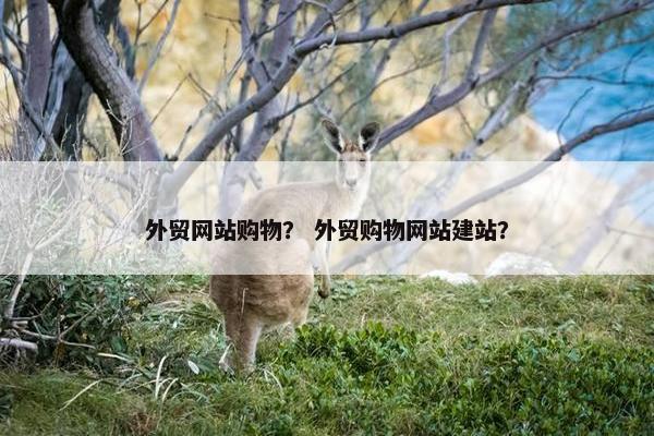 外贸网站购物？ 外贸购物网站建站？
