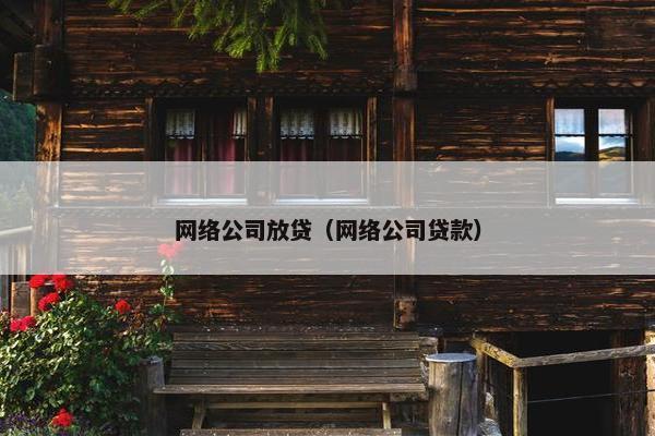 网络公司放贷（网络公司贷款）