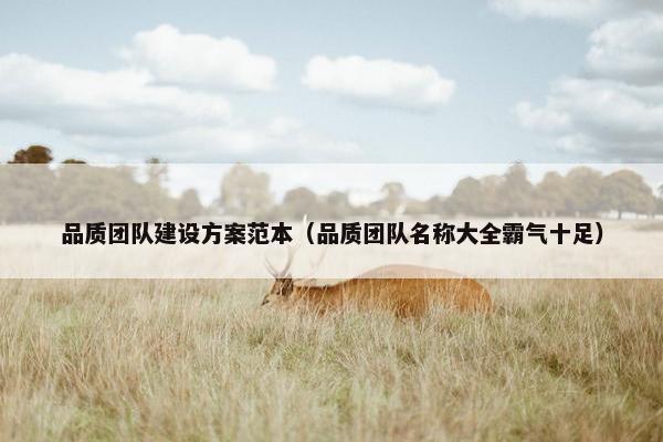 品质团队建设方案范本（品质团队名称大全霸气十足）