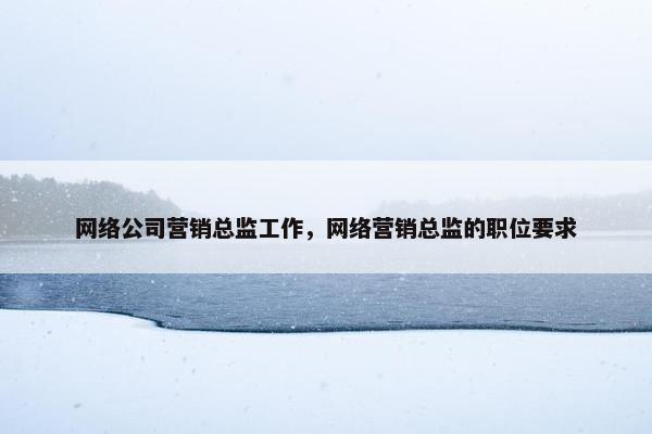 网络公司营销总监工作，网络营销总监的职位要求