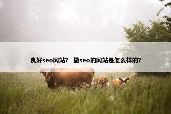 良好seo网站？ 做seo的网站是怎么样的？
