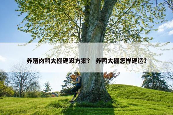 养殖肉鸭大棚建设方案？ 养鸭大棚怎样建造？
