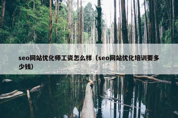 seo网站优化师工资怎么样（seo网站优化培训要多少钱）