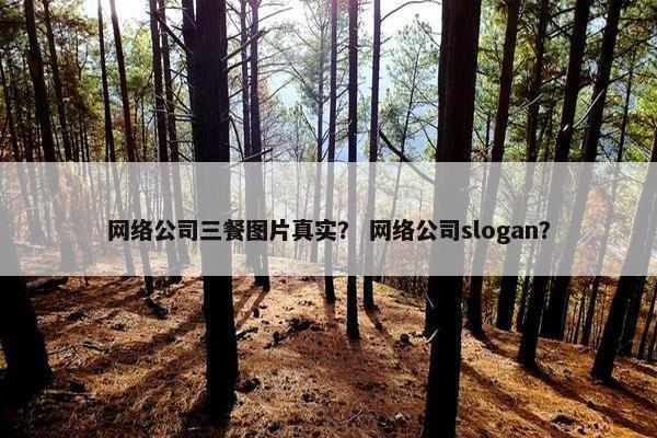 网络公司三餐图片真实？ 网络公司slogan？