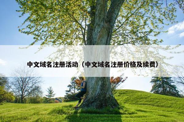 中文域名注册活动（中文域名注册价格及续费）