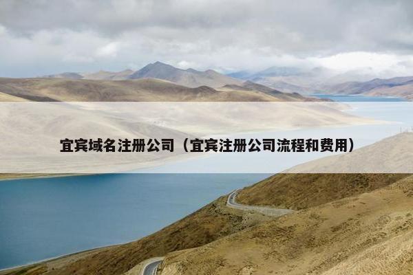 宜宾域名注册公司（宜宾注册公司流程和费用）
