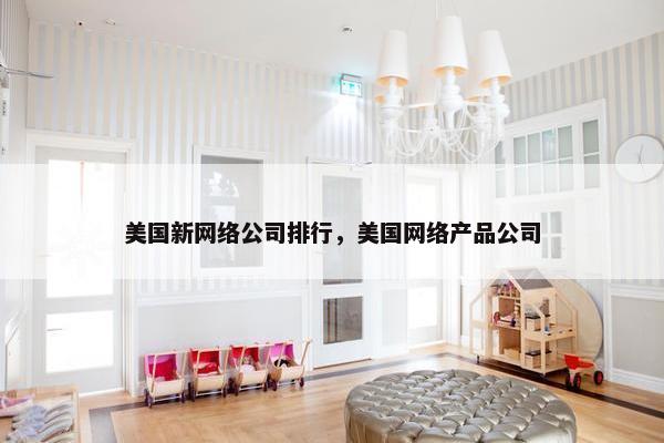 美国新网络公司排行，美国网络产品公司