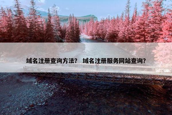 域名注册查询方法？ 域名注册服务网站查询？
