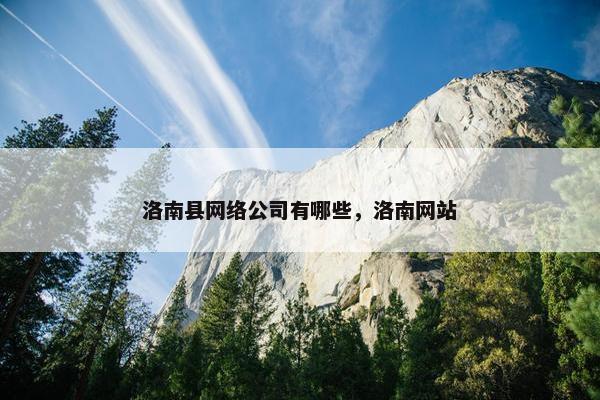 洛南县网络公司有哪些，洛南网站