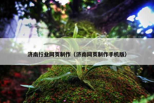济南行业网页制作（济南网页制作手机版）