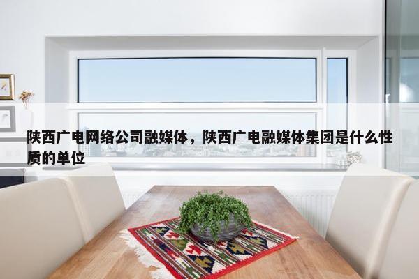 陕西广电网络公司融媒体，陕西广电融媒体集团是什么性质的单位