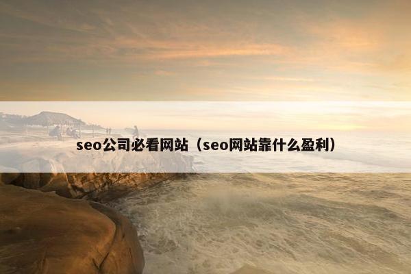 seo公司必看网站（seo网站靠什么盈利）