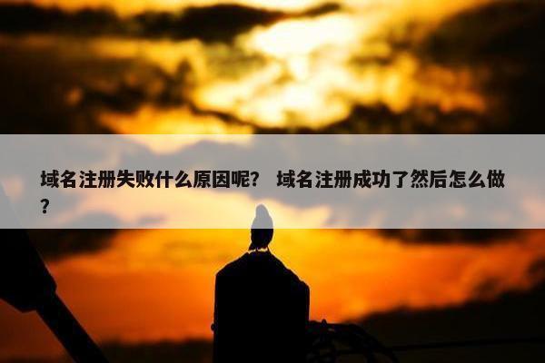 域名注册失败什么原因呢？ 域名注册成功了然后怎么做？