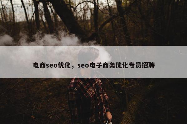 电商seo优化，seo电子商务优化专员招聘