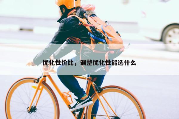 优化性价比，调整优化性能选什么