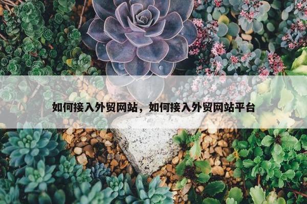 如何接入外贸网站，如何接入外贸网站平台