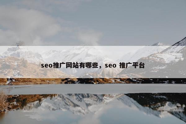 seo推广网站有哪些，seo 推广平台