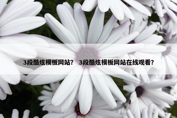 3段酷炫模板网站？ 3段酷炫模板网站在线观看？