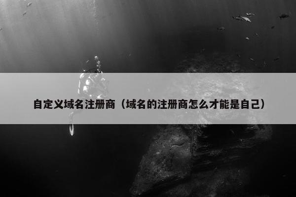 自定义域名注册商（域名的注册商怎么才能是自己）