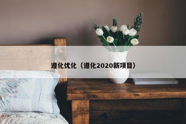 遵化优化（遵化2020新项目）