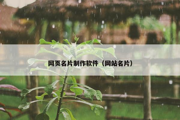 网页名片制作软件（网站名片）
