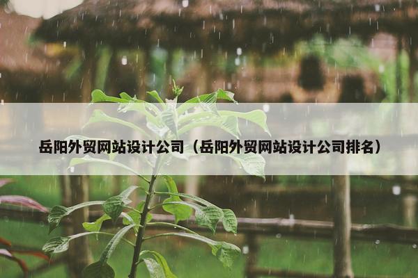 岳阳外贸网站设计公司（岳阳外贸网站设计公司排名）