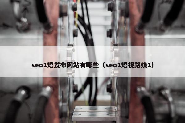 seo1短发布网站有哪些（seo1短视路线1）