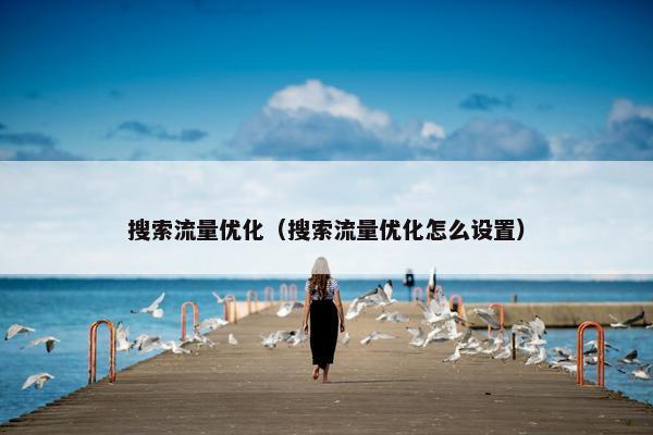 搜索流量优化（搜索流量优化怎么设置）