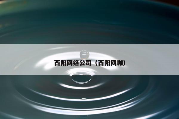 酉阳网络公司（酉阳网咖）