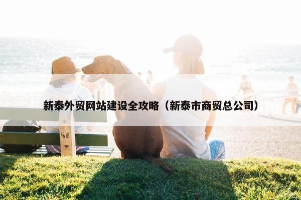 新泰外贸网站建设全攻略（新泰市商贸总公司）