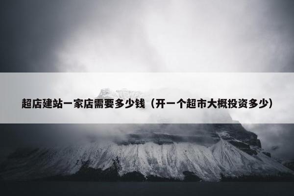 超店建站一家店需要多少钱（开一个超市大概投资多少）