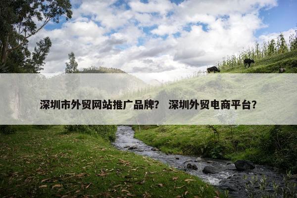 深圳市外贸网站推广品牌？ 深圳外贸电商平台？