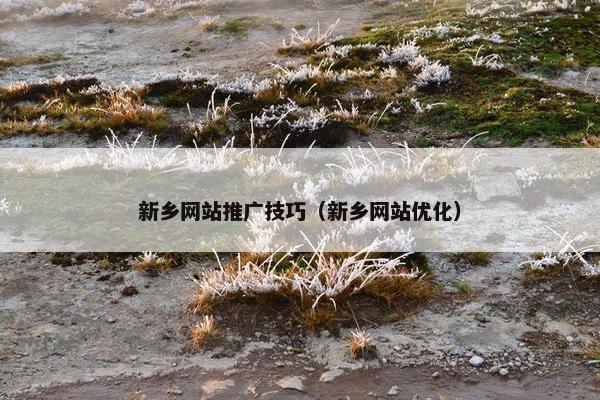 新乡网站推广技巧（新乡网站优化）