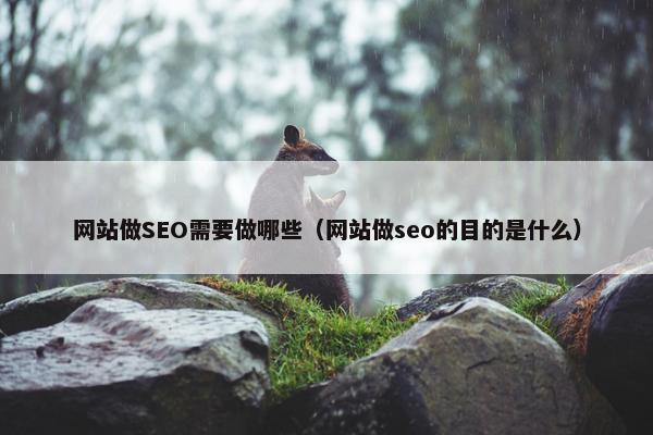 网站做SEO需要做哪些（网站做seo的目的是什么）