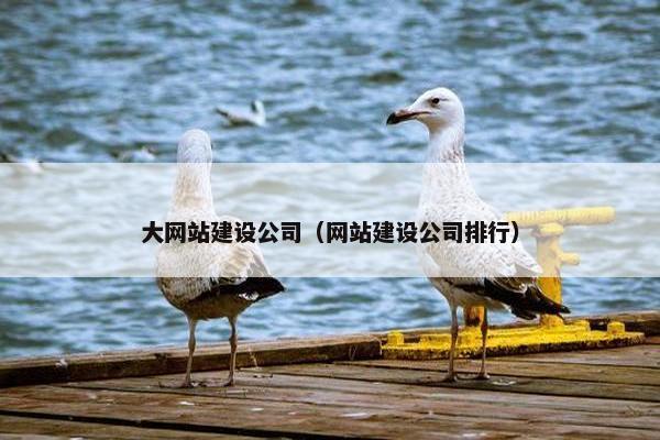 大网站建设公司（网站建设公司排行）