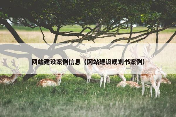 网站建设案例信息（网站建设规划书案例）