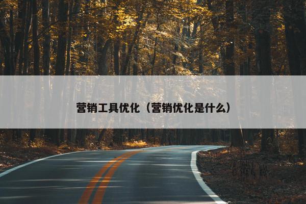 营销工具优化（营销优化是什么）