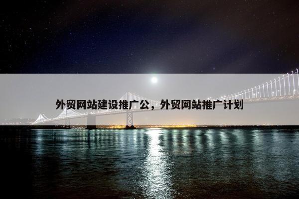 外贸网站建设推广公，外贸网站推广计划
