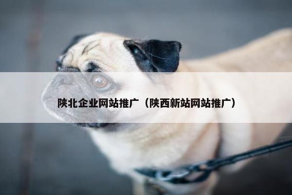 陕北企业网站推广（陕西新站网站推广）